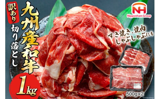 牛肉 訳あり 日本ハム 九州産 和牛 切り落とし 500g 2p 計 1kg [日本ハムマーケティング 宮崎県 日向市 452061137] 冷凍 小分け 個包装 牛 すき焼き もも肉 モモ肉 牛バラ 牛肩 1204182 - 宮崎県日向市