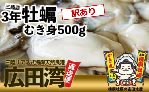 【訳あり】横綱牡蠣！吉田水産のむき身牡蠣500g 〈規格外/不揃い〉【 牡蠣 かき 食べ比べ 冷蔵 三陸 リアス海岸 広田湾 3年牡蠣 】RT2295 1105182 - 岩手県陸前高田市