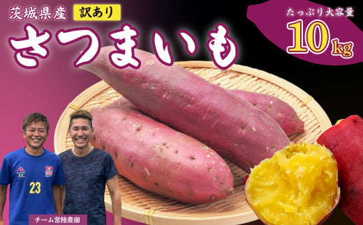 【先行予約 11月中旬以降発送】【訳あり】さつまいも 10kg｜いも スイーツ 野菜 ダイエット 小分け 国産 茨城県産 さつまいも サツマイモ お芋 おやつ 干し芋 焼き芋 紅はるか シルクスイート ねっとり 甘い 完熟 熟成 高評価 多数 蜜いも 秋の味覚 品種お任せ 訳あり 家庭用 サイズ不均一 小さめ キズ スレ 期間限定 高糖度 芋 焼き芋 ふぞろい 訳アリ 大容量 茨城県 常陸太田市