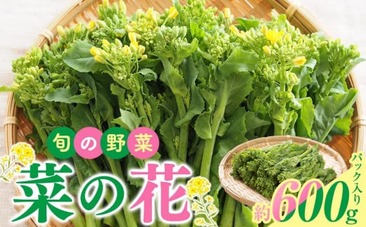 旬の野菜 菜の花 (パック入り) 約600g【2024-12月上旬～2025-3月下旬配送】 400514 - 香川県高松市