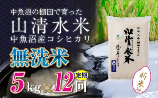 【令和6年産】【定期便／全12回】無洗米5kg　新潟県魚沼産コシヒカリ「山清水米」十日町市 米 1025223 - 新潟県十日町市