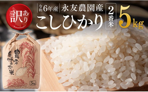 【訳あり】【令和6年産】永友農園産「こしひかり（2番米）」5kg 【 米 お米 白米 精米 国産 宮崎県産 コシヒカリ 】