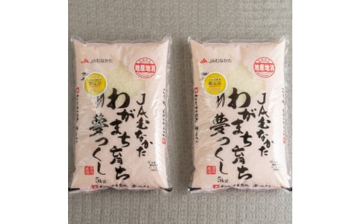 ＜毎月定期便＞福岡県産米『夢つくし』10kg(5kg×2袋)(大野城市)全6回【4058580】