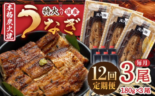 【12回定期便】 国産 うなぎ 本格炭火焼 特大 3尾 計540g（180g×3尾）/炭火焼古賀 [UDH016] 手焼き 冷凍 ウナギ 鰻 蒲焼き かば焼き 605337 - 佐賀県武雄市