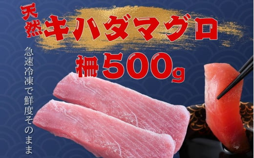 天然キハダマグロ 柵(500ｇ)　～海人からの贈り物～ 1539751 - 沖縄県国頭村