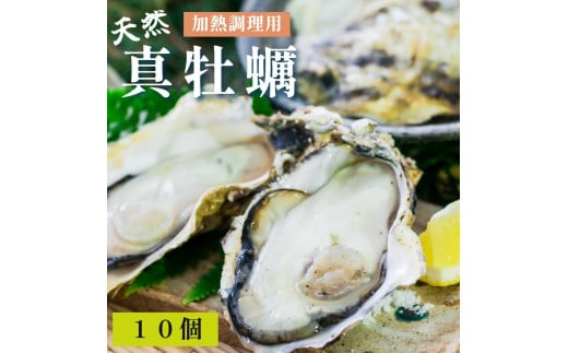 天然 活 真牡蠣 10個 （加熱調理用） 殻付き 舞鶴産 京都産 牡蠣 オイスター 貝 海鮮 二枚貝 オイスター 京都 舞鶴 かき小屋 美味星