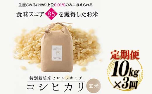 【3回定期】特別栽培米 コシヒカリ ヒロシノキモチ 玄米 10kg 総計30kg 陽咲玲 米 お米 コメ ご飯 ごはん 富山県産 富山県 立山町 F6T-464