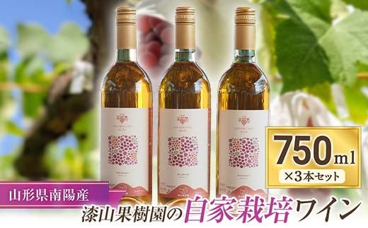 果樹園生まれの 「漆山ワイン (デラウェア)」 750ml×3本セット 『漆山果樹園』 自家栽培 山形県 南陽市 [1168] 257139 - 山形県南陽市