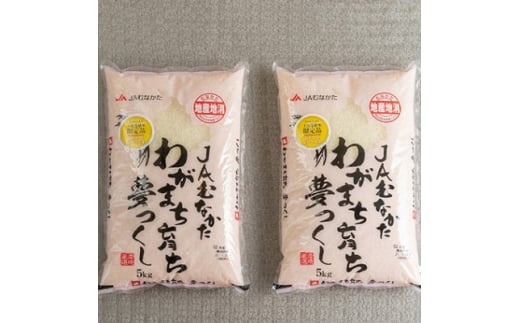 ＜毎月定期便＞福岡県産米『夢つくし』10kg(5kg×2袋)(大野城市)全3回【4058579】