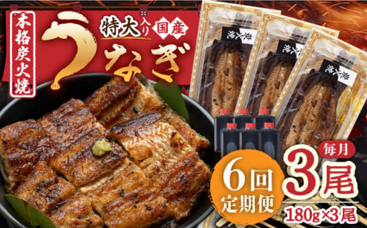 【6回定期便】 国産 うなぎ 本格炭火焼 特大 3尾 計540g（180g×3尾）/炭火焼古賀 [UDH015] 手焼き 冷凍 ウナギ 鰻 蒲焼き かば焼き