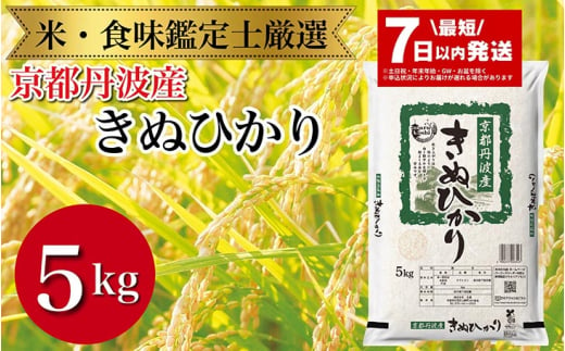 【7日以内発送】京都丹波産 きぬひかり 5kg ※米食味鑑定士厳選 ※精米したてをお届け【京都伏見のお米問屋が精米】新米 米 令和6年産 ※北海道・沖縄・離島への配送不可