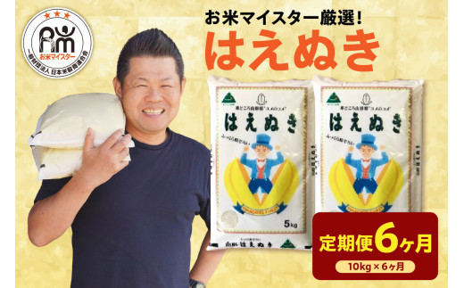 《 新米 》【 6ヶ月定期便 / 令和6年産 新米 】 はえぬき 計 10kg /月 ( 1回配送 5kg × 2袋 ) 2024年産 山形県 米沢市産 精米 米 白米 お米 ブランド米 お米マイスター 厳選米 山形県 米沢市 送料無料 1321955 - 山形県米沢市