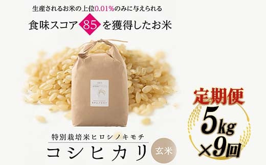 【9回定期】特別栽培米 コシヒカリ ヒロシノキモチ 玄米 5kg 総計45kg 陽咲玲 米 お米 コメ ご飯 ごはん 富山県産 富山県 立山町 F6T-465