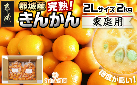 【先行受付！】【2月～3月お届け】都城産完熟きんかん 家庭用2kg (2Lサイズ)_13-B501_(都城市) 都城産 完熟きんかん きんかん 2Lサイズ 約2kg 柑橘類 2月～3月お届け 家庭用