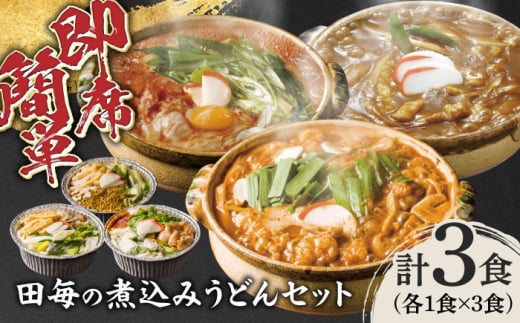 岐阜の味　田毎の煮込みうどん（辛辛麺）3食セット 即席 カンタン 麺 岐阜市/ラボレムス [ANFP004]