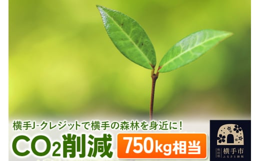 横手J‐クレジットで横手の森林を身近に! CO2削減 750kg相当 1021421 - 秋田県横手市