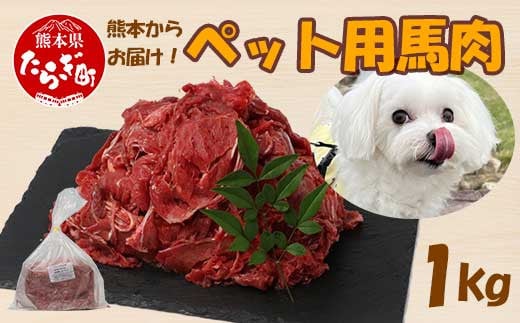 ペット用 熊本加工 馬肉 切り落とし 【1kg】 ドッグ フード 無添加 無香料 ヘルシー 高栄養 馬刺し 冷凍 1キロ お肉専門店 熊本県 国内加工 041-0501