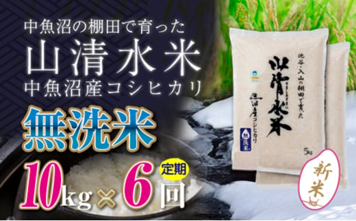 【令和6年産】【定期便／全6回】無洗米10kg　新潟県魚沼産コシヒカリ「山清水米」十日町市 米 1043353 - 新潟県十日町市