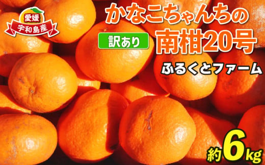 訳あり 南柑20号 6kg ふるくとファーム  先行予約 かなこちゃんち 温州みかん 果物 くだもの フルーツ 柑橘 みかん 蜜柑 mikan ビタミンC たっぷり 愛媛ミカン 愛媛蜜柑 愛媛みかん 農家直送 産地直送 数量限定 国産 愛媛 宇和島 B010-037005 1556562 - 愛媛県宇和島市