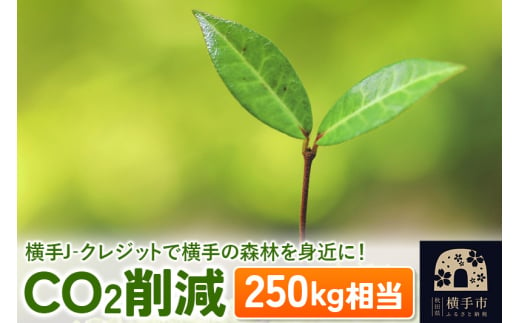 横手J‐クレジットで横手の森林を身近に! CO2削減 250kg相当 1021416 - 秋田県横手市