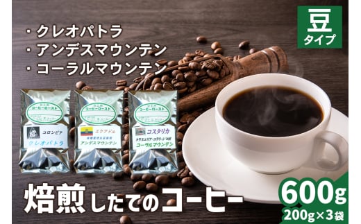 焙煎したてのコーヒー豆 3袋 (クレオパトラ・アンデスマウンテン・コーラルマウンテン)【豆】[0267] 1540532 - 神奈川県伊勢原市