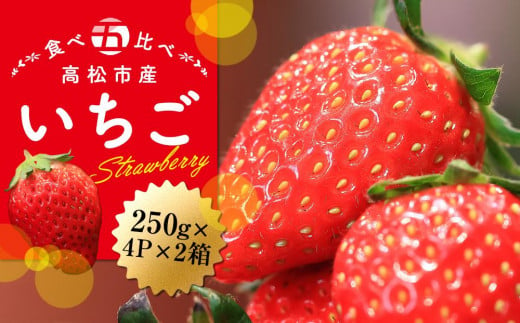 高松市産いちご食べ比べセット　約250g×4パック入り×2箱【2025-1月中旬～2025-5月中旬】 415230 - 香川県高松市