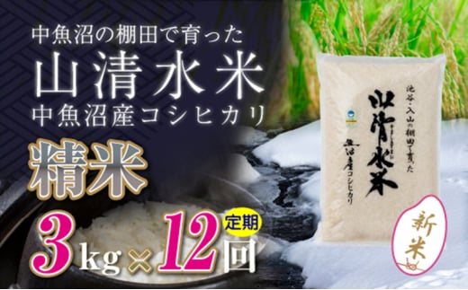 【令和6年産】【定期便／全12回】精米3kg　新潟県魚沼産コシヒカリ「山清水米」十日町市 米 992270 - 新潟県十日町市