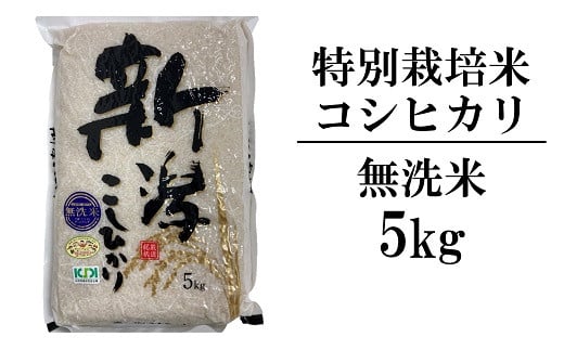 【令和6年産新米】新潟県認証特別栽培米 コシヒカリ 無洗米 5kg 中村農研[Y0295] 218359 - 新潟県柏崎市