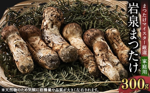 <自家用>岩泉まつたけ 300g【1421549】 995917 - 岩手県岩泉町