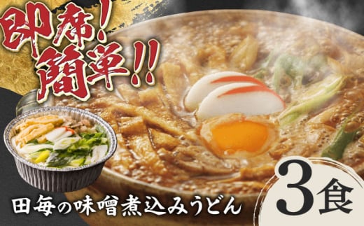 岐阜の味　田毎の味噌煮込みうどんセット 即席 カンタン 麺 岐阜市/ラボレムス [ANFP002]