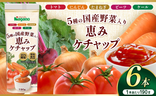 5種の国産野菜入り恵みケチャップ190g×6本セット | ふるさと納税 トマト ケチャップ 食料  人気 料理  長野県 松本市  栄養 1497342 - 長野県松本市