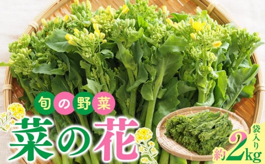 旬の野菜 菜の花 (袋入り) 約2kg【2024-12月上旬～2025-3月下旬配送】 400513 - 香川県高松市