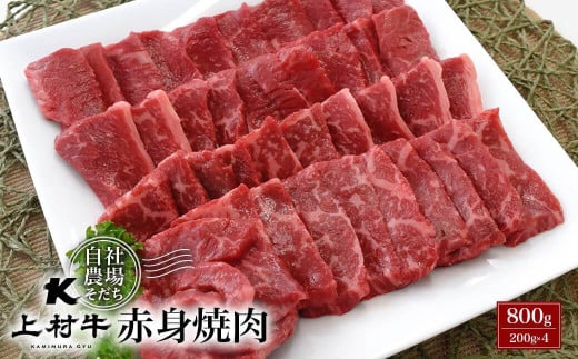 宮崎県産上村牛 赤身焼肉 800g(200×4)牛肉 ステーキ 小分け[カミチク][1.4-4]焼肉 焼き肉 牛肉