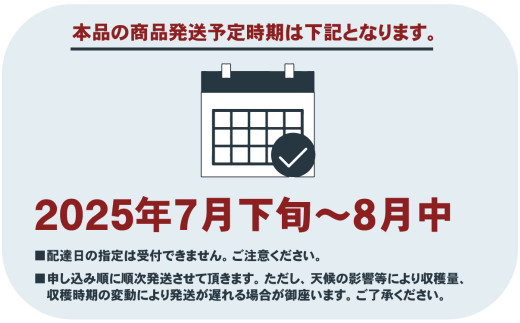 山梨県丹波山村のふるさと納税 【2025年先行予約】朝もぎ直送！ 「 桃 白桃系 」 5～8玉 約2kg規格箱入り【高機能共選機使用】 選び抜かれた桃 山梨県産 モモ 白鳳 フルーツ 果物 くだもの 人気 産地直送 厳選 贈答 贈り物 甘い 予約