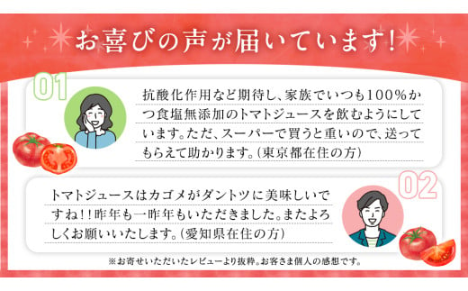 茨城県牛久市のふるさと納税 ＼ 10営業日以内に発送 ／ カゴメ トマトジュース 食塩無添加 720ml 15本セット 【12/15入金確認分まで年内配送】 KAGOME トマト ストレート リコピン GABA ペットボトル ドリンク 飲料 野菜ジュース 野菜飲料 セット 備蓄