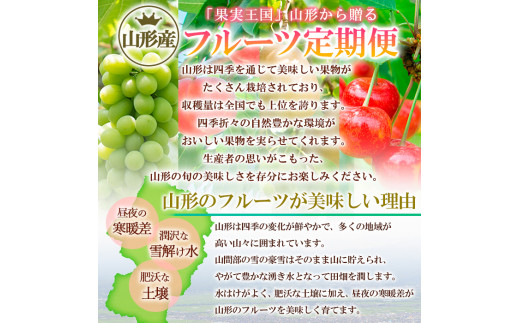定期便3回】味わうやまがた にっこり定期便 【令和7年産先行予約 定期便3回】味わうやまがた にっこり定期便 【令和7年産先行予約