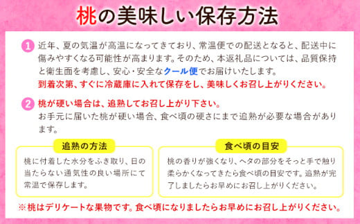 和歌山県紀の川市のふるさと納税 桃 もも【2025年先行予約】和歌山県産 紀の里の桃 約2kg(6-8玉入り)《6月中旬-8月中旬頃出荷》 桃 2025年 先行 桃 先行予約2025 もも2025 白鳳 日川白鳳 八旗白鳳 清水白桃 川中島白桃 つきあかり もも 白鳳 先行予約 もも川中島 もも2025 もも 白鳳 先行予約 もも 先行予約 もも 和歌山 もも