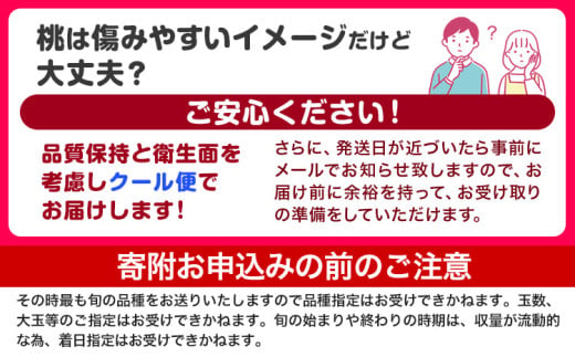 和歌山県紀の川市のふるさと納税 桃 もも【2025年先行予約】和歌山県産 紀の里の桃 約2kg(6-8玉入り)《6月中旬-8月中旬頃出荷》 桃 2025年 先行 桃 先行予約2025 もも2025 白鳳 日川白鳳 八旗白鳳 清水白桃 川中島白桃 つきあかり もも 白鳳 先行予約 もも川中島 もも2025 もも 白鳳 先行予約 もも 先行予約 もも 和歌山 もも