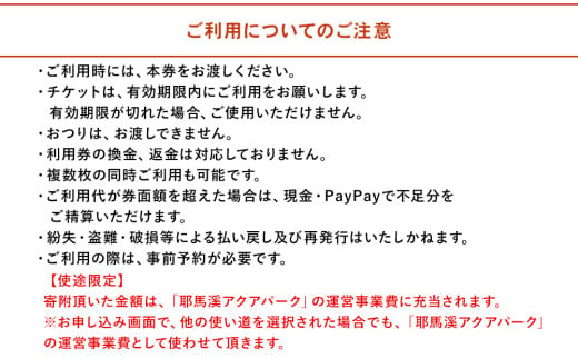 大分県中津市のふるさと納税 【寄附使途限定】耶馬溪水上スポーツ施設「耶馬溪アクアパーク」利用券10,000円分 体験チケット 水上スキー ウェイクボード ウェイクサーフィン 水上スポーツ 体験ツアー 大分県産 九州産 中津市 国産