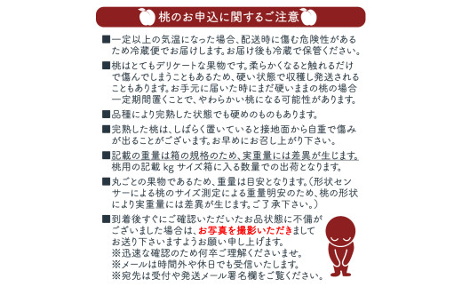 山梨県丹波山村のふるさと納税 【2025年先行予約】朝もぎ直送！ 「 桃 白桃系 」 5～8玉 約2kg規格箱入り【高機能共選機使用】 選び抜かれた桃 山梨県産 モモ 白鳳 フルーツ 果物 くだもの 人気 産地直送 厳選 贈答 贈り物 甘い 予約