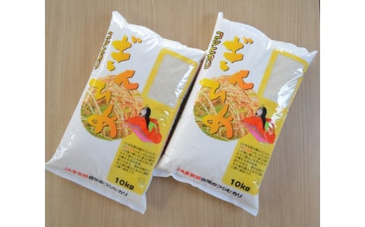 コシヒカリ「ぎんひめ」20㎏ (10㎏×2 ) 多気郡産 米 コメ 精米
