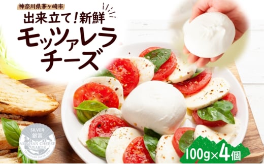 出来立て新鮮 モッツァレラチーズ100g  ×  4個セット 茅ケ崎産 加工食品 乳製品 チーズ 出来立て 神奈川県産 モッツァレラ 手作り Osteria e Bottega S 神奈川県 湘南 茅ケ崎 フレッシュチーズ  おつまみ ピザ 709692 - 神奈川県茅ヶ崎市