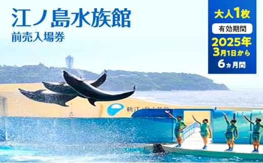 チケット 神奈川 【新江ノ島水族館】前売入場券（大人1枚）有効期間2025年3月1日～6ヵ月間 水族館 前売 入場券 江ノ島 藤沢市 神奈川県 プレゼント ギフト 1541799 - 神奈川県藤沢市