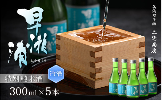 [早瀬浦]特別純米酒冷用酒 300ml × 5本 セット[入手困難 特別純米 冷用酒 日本酒 地酒 福井 美浜 早瀬 フルーティ 男酒 硬水 ミネラル 希少 ご褒美 家飲み][m16-a025]