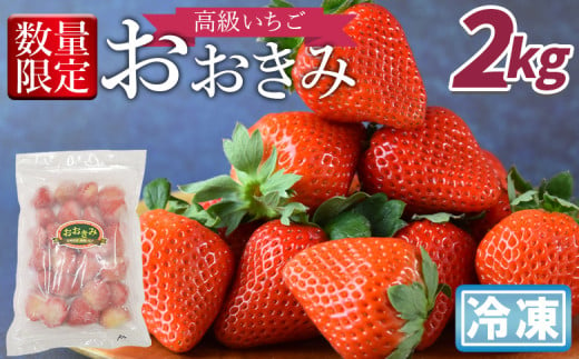 ＜高級いちご「おおきみ」冷凍いちご　2kg＞2025年1月下旬から順次出荷【 果物 くだもの いちご イチゴ 苺 大粒 朝どれ 朝獲れ 産地直送 お菓子づくり お菓子作り 材料 冷凍いちご 冷凍苺 冷凍イチゴ 】