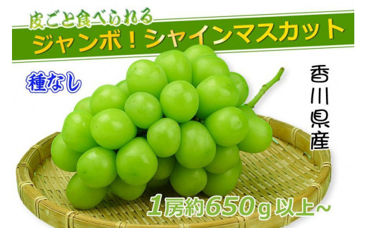 《2025年発送》特秀品シャインマスカット ( １房 約700g以上 ) ぶどう マスカット 香川県産 788712 - 香川県坂出市