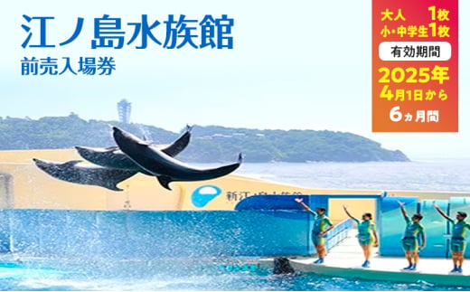 チケット 神奈川 【新江ノ島水族館】前売入場券（大人1枚、小・中学生1枚）有効期間2025年4月1日～6ヵ月間 水族館 前売 入場券 江ノ島 藤沢市 神奈川県 プレゼント ギフト 1541810 - 神奈川県藤沢市