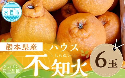 熊本県産 ハウス不知火 （デコポン同一品種） 6玉 不知火 しらぬい デコポン くだもの 果物 フルーツ 柑橘【2024年11月下旬～12月上旬発送予定】 1532191 - 熊本県水俣市