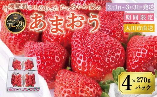 【2025年2月1日～3月31日までに発送！】有機肥料にこだわったたっちゃん家の完熟あまおう（270g×4パック）【あまおう 食品 あまおう フルーツ あまおう 果物 苺くだもの いちご 食品 イチゴ 人気 あまおう おすすめ 送料無料 福岡県 大川市 FD001】 456508 - 福岡県大川市