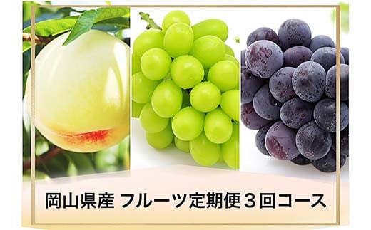 2025年発送 岡山県産 フルーツ定期便3回コース＜お一人様向け＞ 白桃 ニューピオーネ シャインマスカット 旬のフルーツ フルーツ王国 旬の果物 TY0-0919